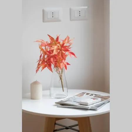 Nolo House Apartment